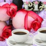 rose cudal