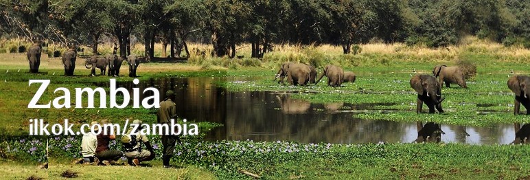 Sitio de citas Zambia