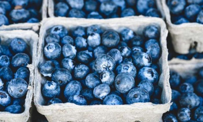 ⁣Eating blueberries every day improves heart health