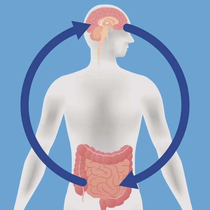 ⁣Probiotics may help boost mood and cognitive function