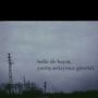 Levent Bulut