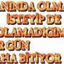 Mustafa Guler