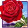 giland g