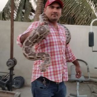 humayun