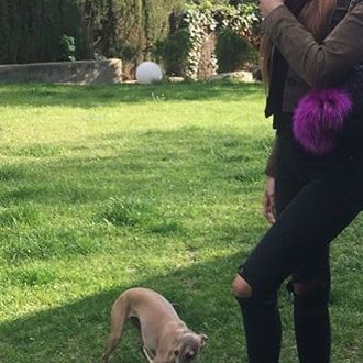 KATTY AND PET