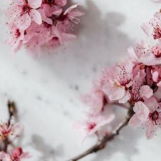 Cover Images