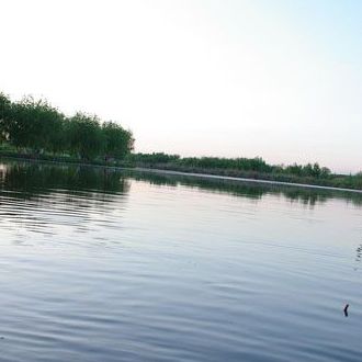 Flexi Ştire