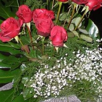 Haber Bandı Fotoğrafları