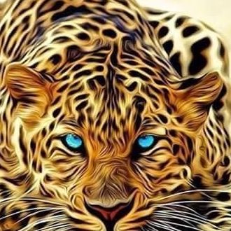 Kapak Fotoğrafları