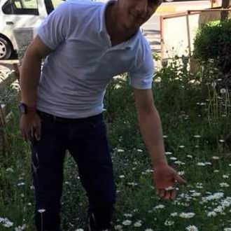Papatyalar kadar seviyorum 