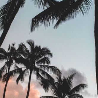 Cover Images