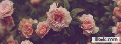 Cover Images