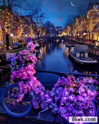 Holland Amsterdam / Hollanda Amsterdam