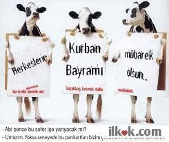Haber Bandı Fotoğrafları