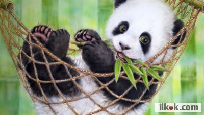 cute panda :Smile1: