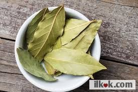 Daily practical information: Leave a few bay leaves inside so that materials such as bulgur and flour are not infested.