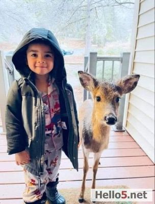 There is a natural connection between kids and animals?

Meet four-year-old Dominic and his friend, a deer. 

Dominic told his mommy that he met the young fawn while playing.

He said he talked to the animal and told him he had cereal inside the house, so the deer followed him.

Eventually, Dominic’s mom suggested it would be better to take the deer back to the the tree line in case the deer’s mom was looking for him. Dominic obliged.