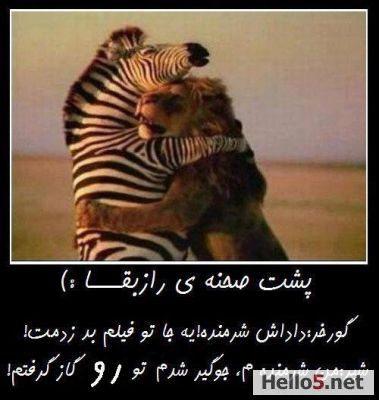 ه ه ه ه