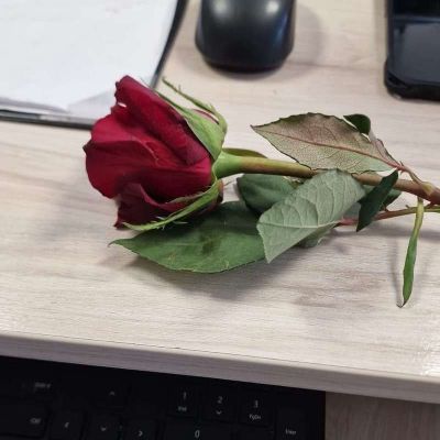Bir kişiyi sevmek çok kolay, vazgeçmek ise çok zordur.