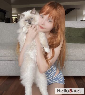 my lovely cat