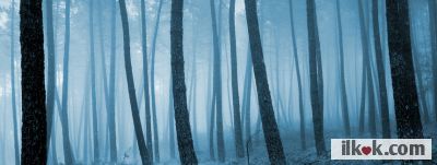 Kapak Fotoğrafları