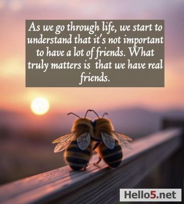 IF BEES, WORK TOGETHER WHY CAN'T HUMANS ALSO DO THE SAME THING?