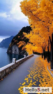 #Sonbahar #Autumn