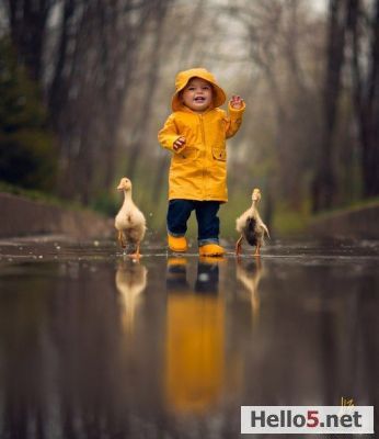 #duck #ducks #baby #child