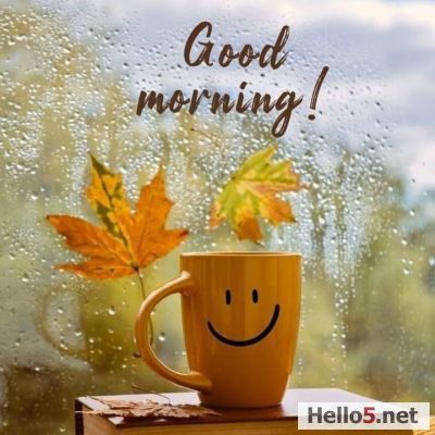 good morning my friends