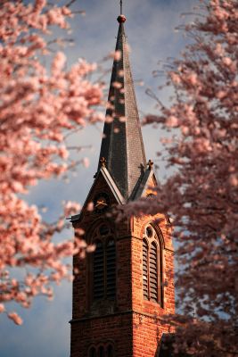 It is the holy Church