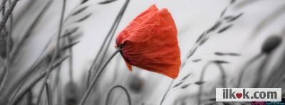 Kapak Fotoğrafları