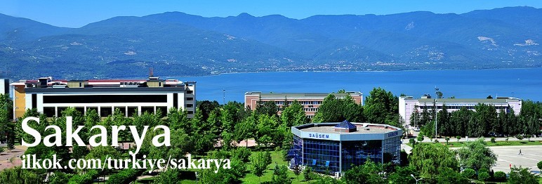 Sakarya arkadaşlık resimleri